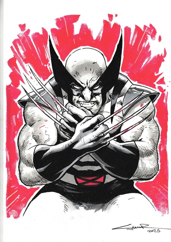 Wolverine by Cinar, Yildiray - Original Illustration
