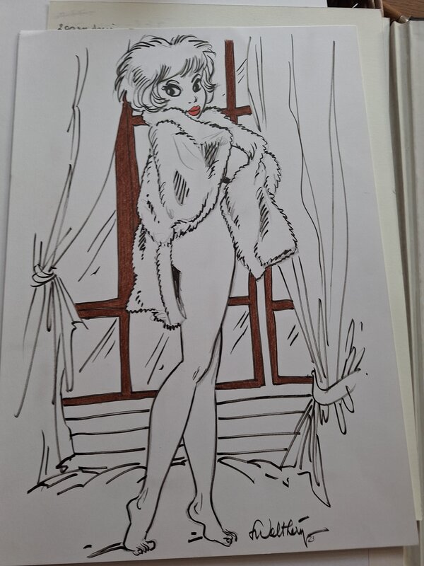 En vente - François Walthéry, Natacha avec son châle - Planche originale