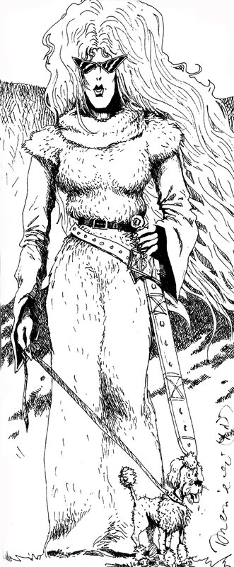 Piotr Drzewiecki, Grzegorz Rosinski, Thorgal - Slivia ;-) - Original Illustration