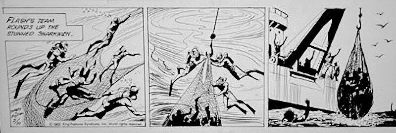 Dan Barry, Bob Fujitani, Flash Gordon - Daily Strip 10 février 1982 - Comic Strip