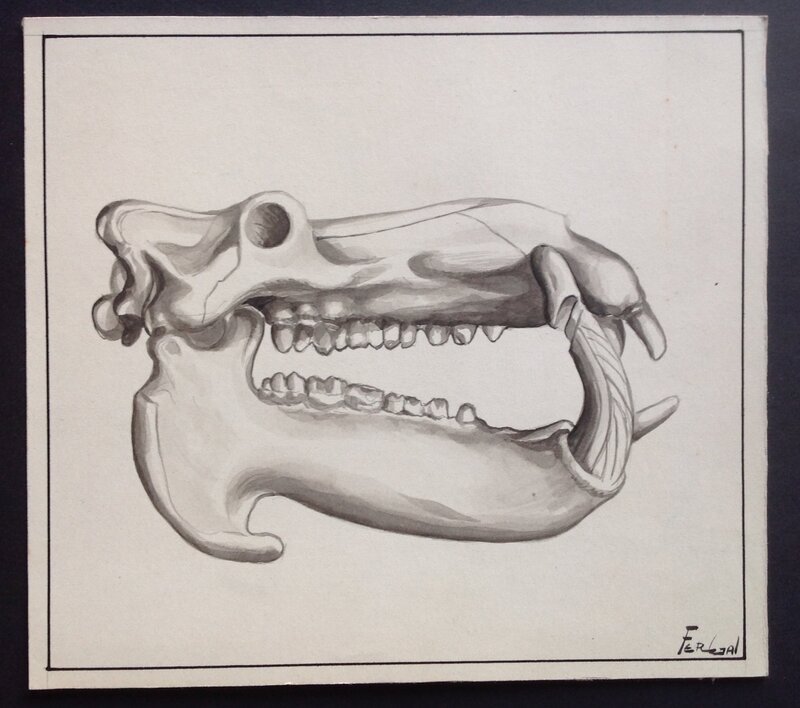 En vente - Fergal Studio Atelier Chott 1 illustration Crane Dinosaure ...Fantax Ou RANCHO ,superbe Dessin planche originale Lavis & Gouache - Illustration originale