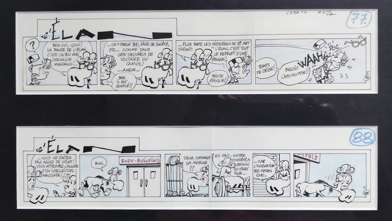 L'élan by Frank Pé - Comic Strip