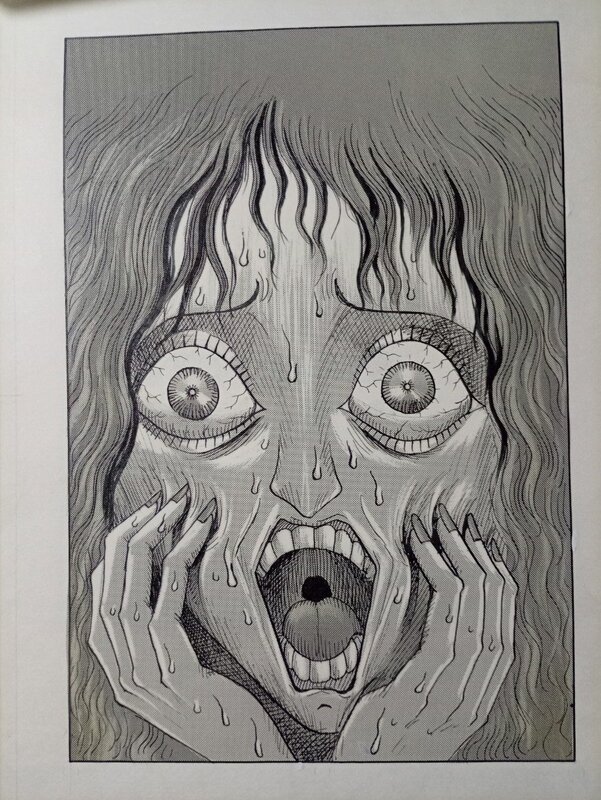 Video COLLECTOR COVER BY Ochazukenori - Original Illustration