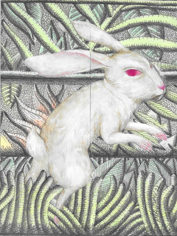 Rabbit by Ana Juan - Original Illustration