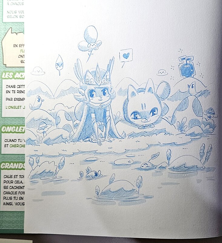 En vente - oTTami, Calie & Kasskoo : Le royaume de Haute Rivière - Dédicace