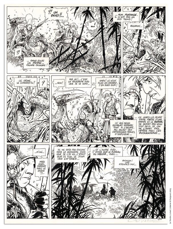 La quète de l'oiseau du temps , Dominique Lidwine - Comic Strip