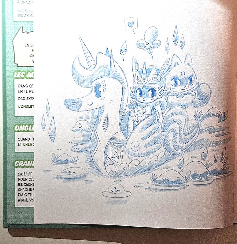 En vente - oTTami, Calie & Kasskoo : Le royaume de Haute Rivière - Dédicace