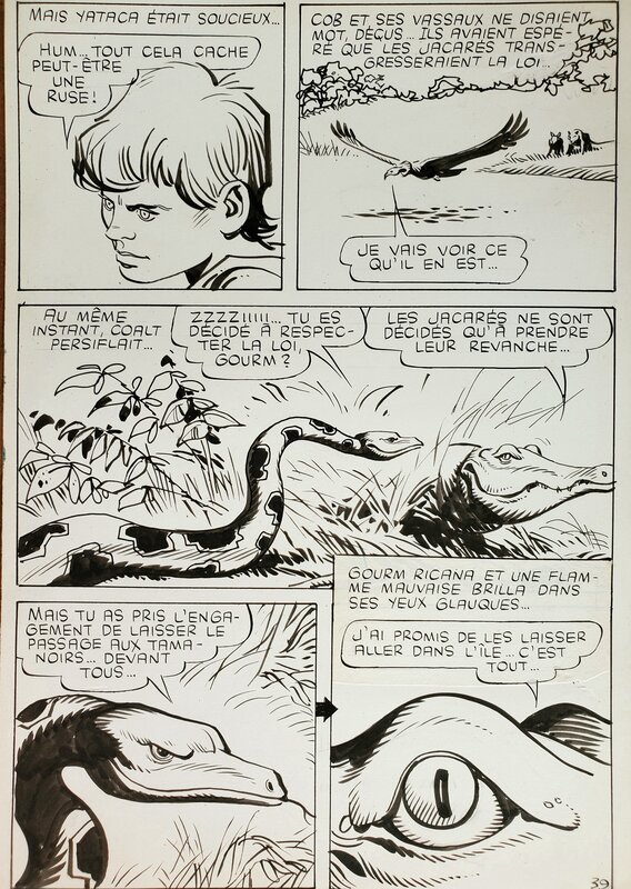 Ferdinando Tacconi, YACATA (Fils-du-Soleil) n°10 LE CLAN DES TAMANOIRS planche originale - Planche originale