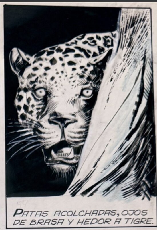 César Spadari, Yaguarete Frame of Mayor Laguna - Comic Strip