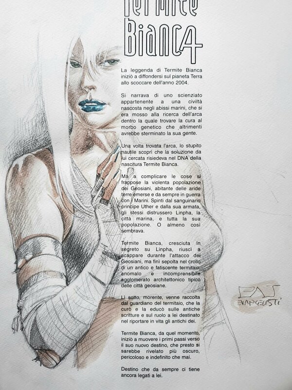 Patrizio Evangelisti, illustration FOURMI BLANCHE - Sketch