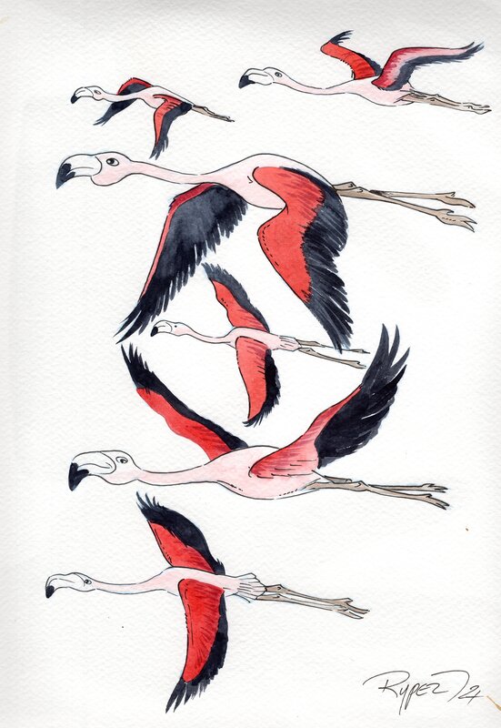 En vente - Fabien Rypert, Flamands roses d'Argentine - Planche originale