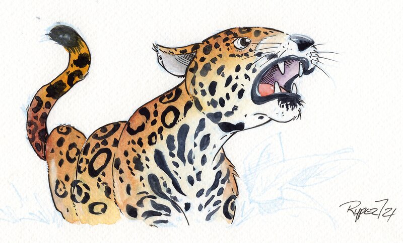 En vente - Fabien Rypert, Jaguar d'Amérique du sud - Illustration originale
