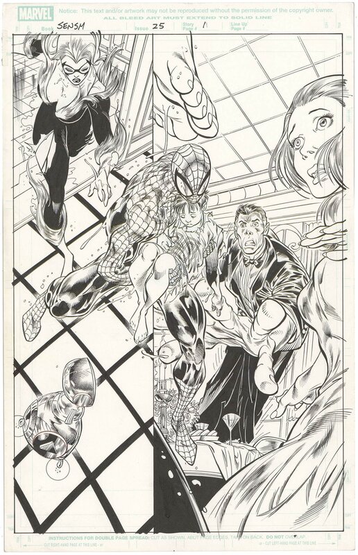 For sale - Angel Medina, Scott Hanna, Sensational Spider-Man #25 p1 (Splash) (Black Cat) - Comic Strip