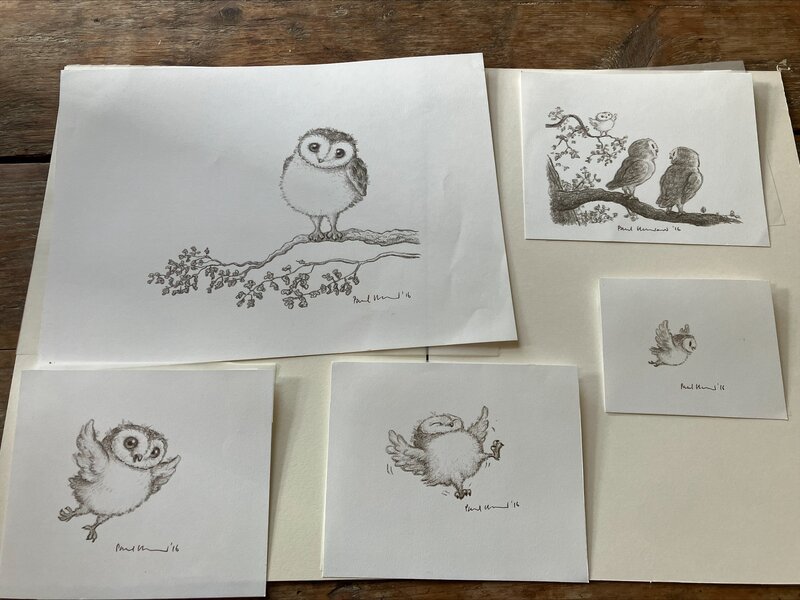 For sale - 5 original drawings by Paul Howard for the book The owl who was afraid of the dark - Original Illustration