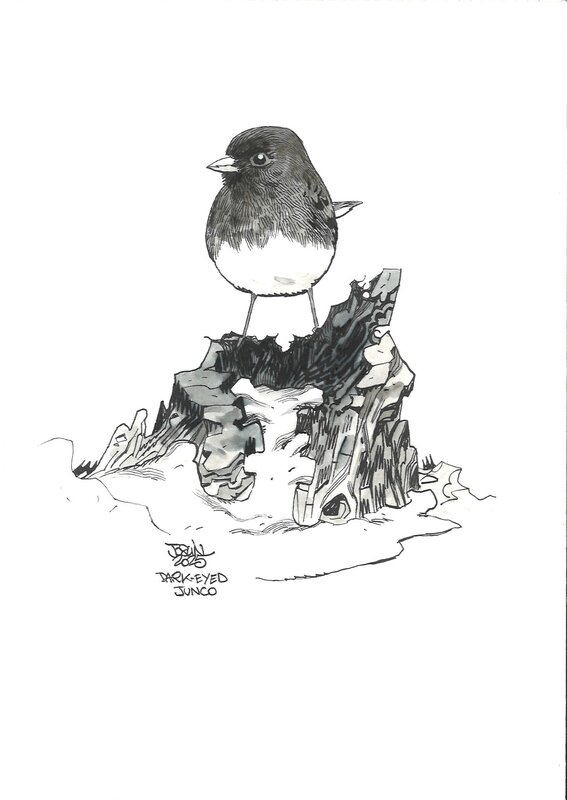 En vente - Jocelyn Joret - illustration Oiseau Junko - Illustration originale