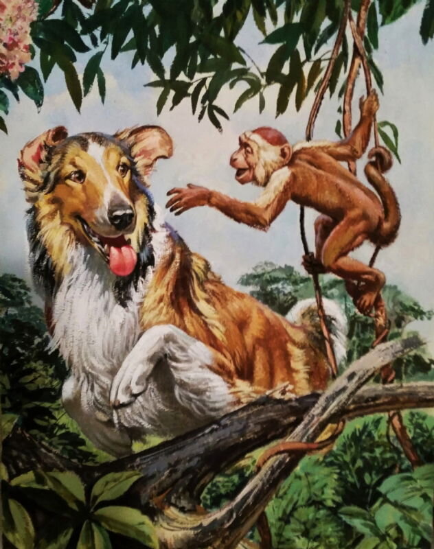 Morris Gollub, MGM's Lassie #28 Cover - Couverture originale