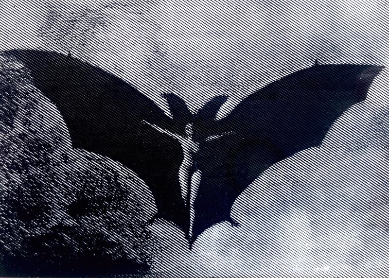 Donna Vampiro par Karel Thole - Original Illustration