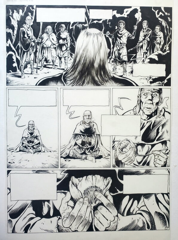 AMBRE BLANC par Christian Verhaeghe - Planche originale