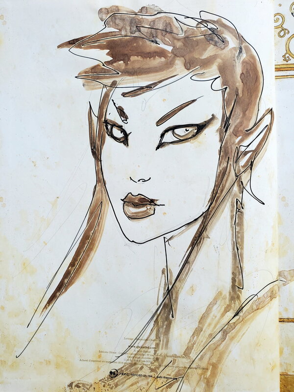 Olivier Ledroit, WIKA   T2 ET LES FEES NOIRES - Sketch