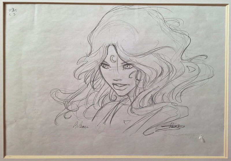 Stéphane Bileau, Crayonné d'une case de La quête du Graal tome 5 - Œuvre originale