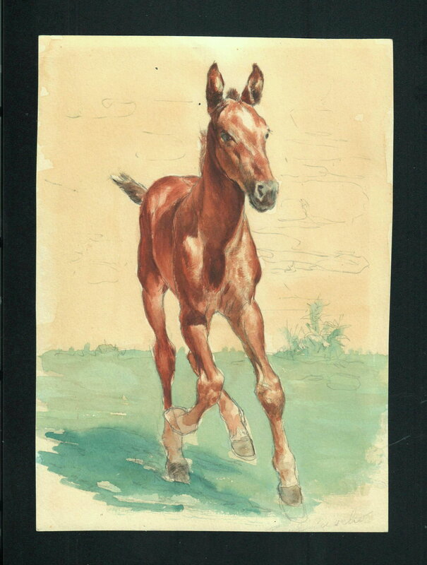 Poulain par Paul Cuvelier - Illustration originale
