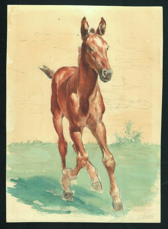 En vente - Poulain par Paul Cuvelier - Illustration originale