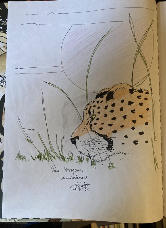 Renée Rahir, Un guépard. Fann le lion T1. - Sketch