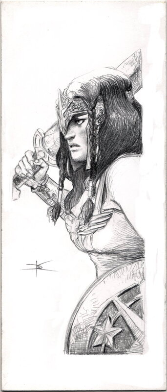 WONDER WOMAN by David COCHARD - Original Illustration