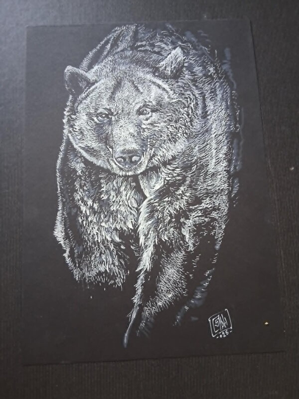 Bear by Osman Hajdarevic - Original Illustration
