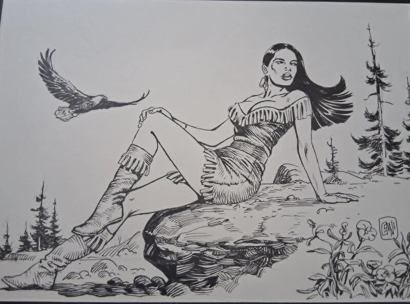 Pocahontas by Osman Hajdarevic - Original Illustration