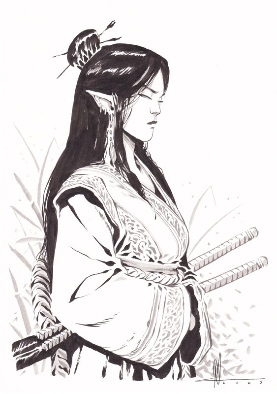 Nico Tamburo, Confrérie des tempêtes - illustration Ayiko - Original Illustration