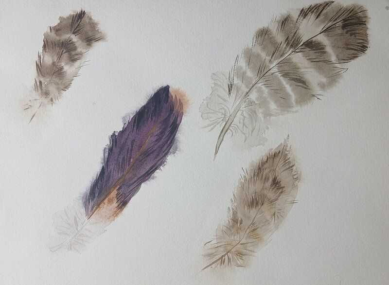 Sylviane Fraiture, René Hausman, Plume(S) - Aquarelle Sylviane Fraiture - Format A4 - Illustration originale