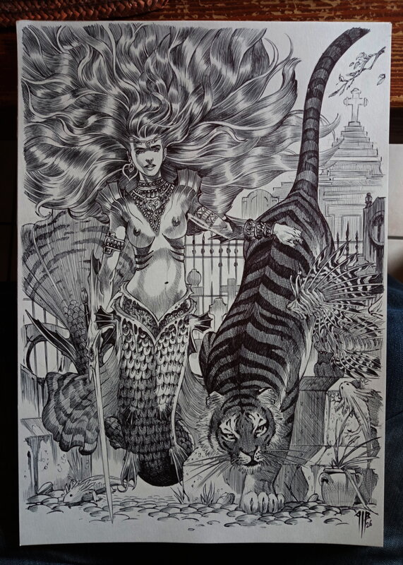 For sale - Philippe Bringel, La sirène des cimetières et le tigre - Original Illustration
