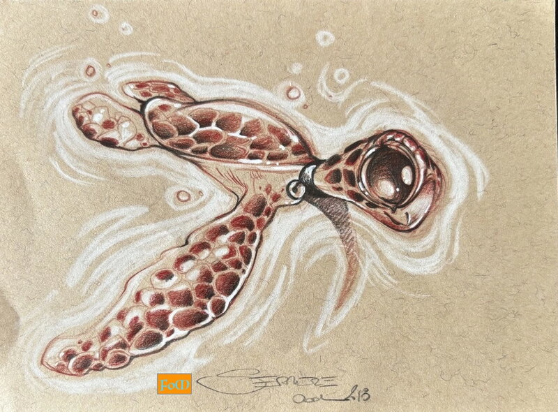 Tortue by Ood Serrière - Original Illustration