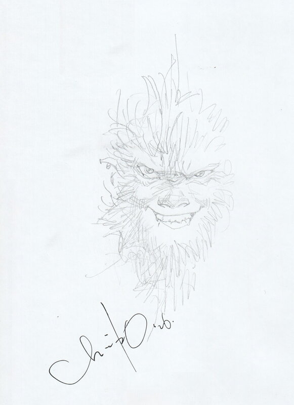 Le roi des Singes by Chaiko - Sketch