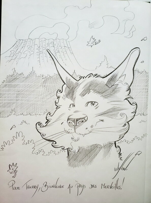 Wyllow, AU-DELA DES MERVEILLES   T1 PIQUE - Sketch