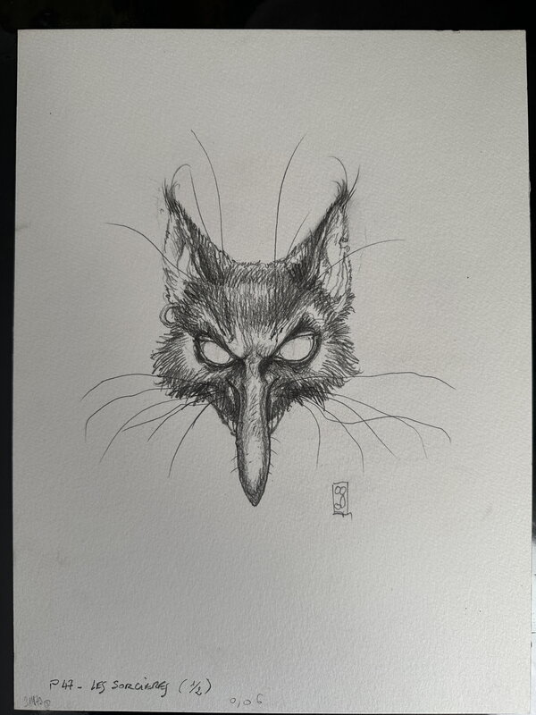 Les Sorcières P.47 par Olivier Ledroit - Œuvre originale