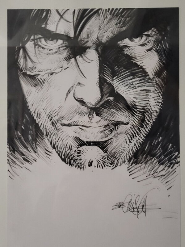 Thorgal par Bec - Illustration originale