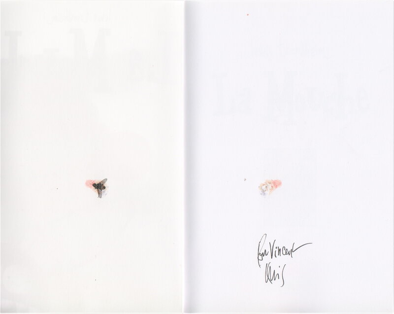 La Mouche by Lewis Trondheim - Sketch