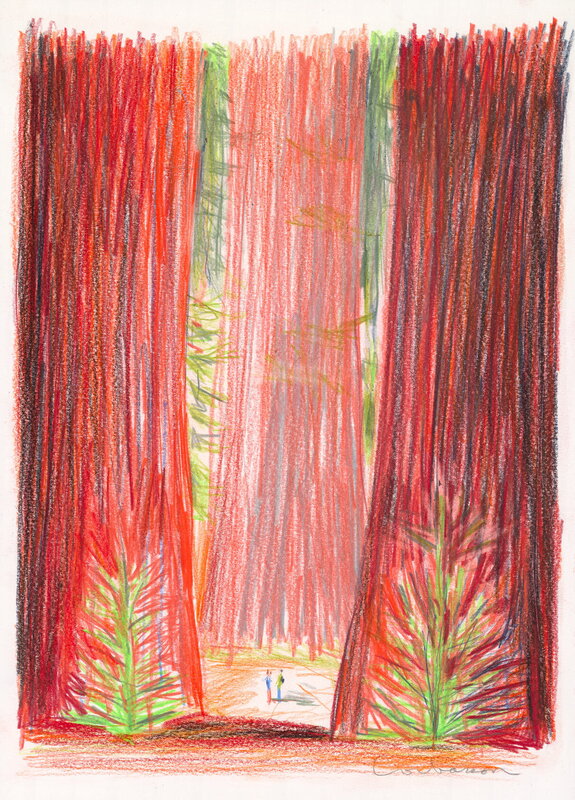 For sale - Séquoias by Dominique Corbasson - Original Illustration