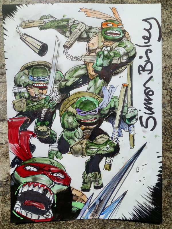 For sale - Tmnt tortues ninja / simon bisley - Original Illustration