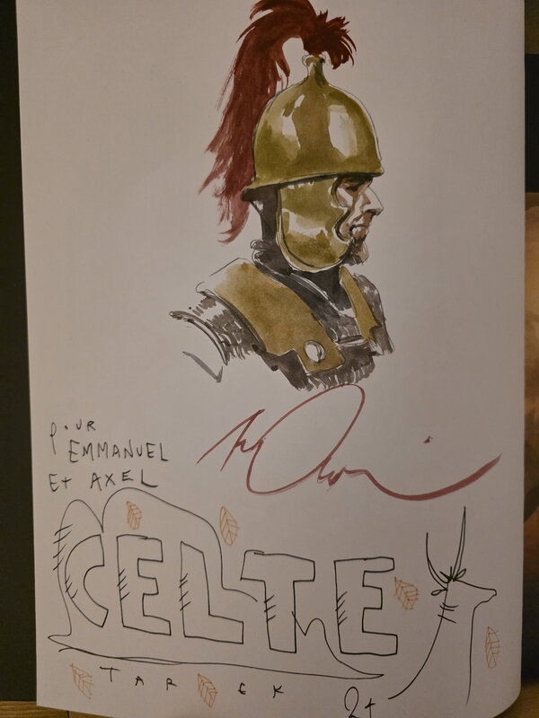 Vincent Pompetti, La guerre des Gaules - Original Illustration