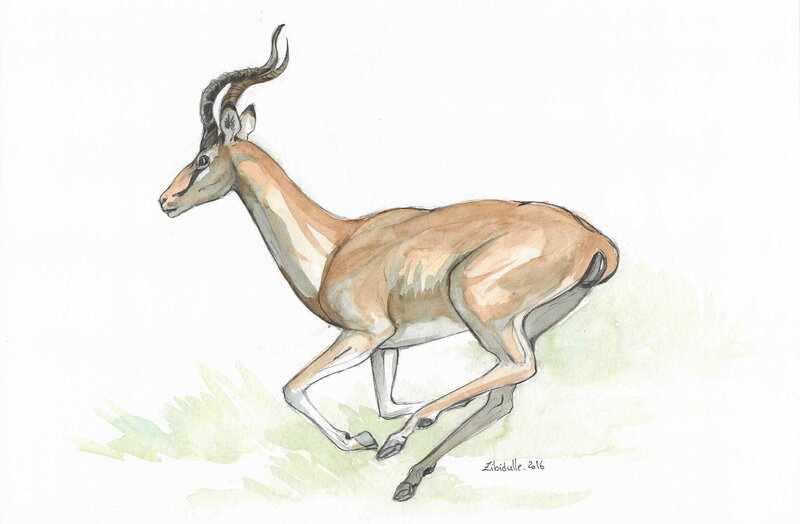 ....... par Gwendolyn Levier - Illustration originale