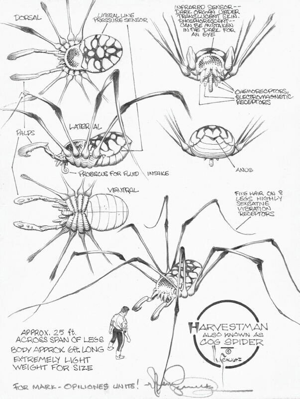Mark Schultz, Harvestman Character Sheet - Original Illustration