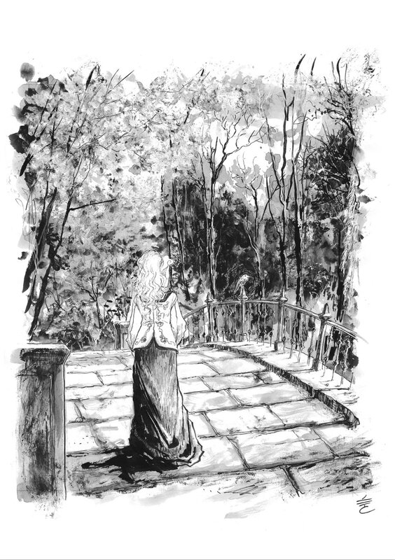 Soli Deo Gloria by Edouard Cour - Comic Strip