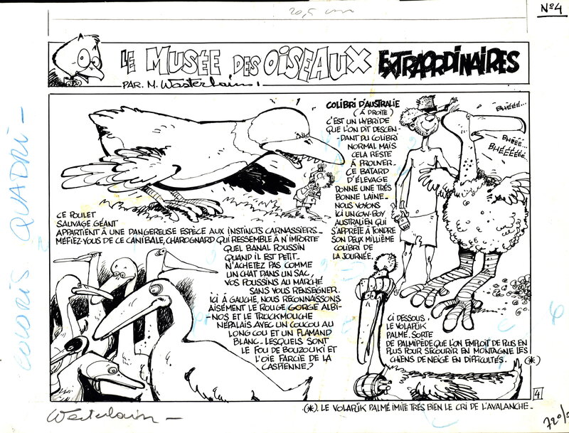 En vente - Wasterlain : Le musée des oiseaux extraordinaires planche 4 - Planche originale