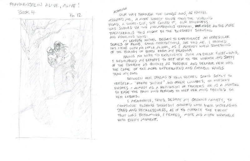 En vente - Berni Wrightson, Frankenstein Alive, Alive! - page 12 - Œuvre originale