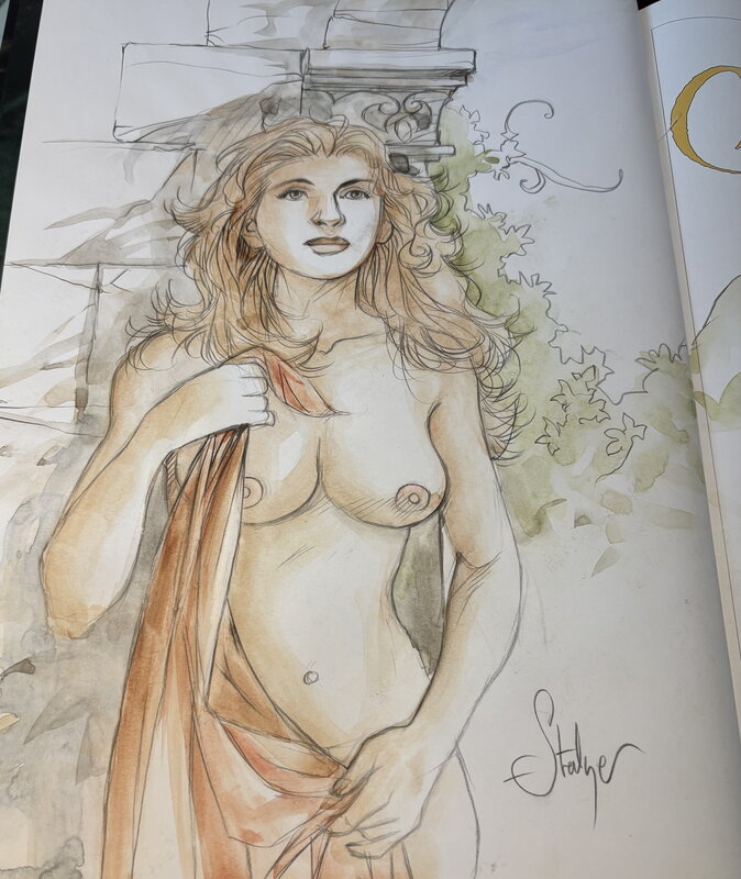 Dédicace (commission) couleurs de Stalner pour Le Roman de Malemort - Dédicace