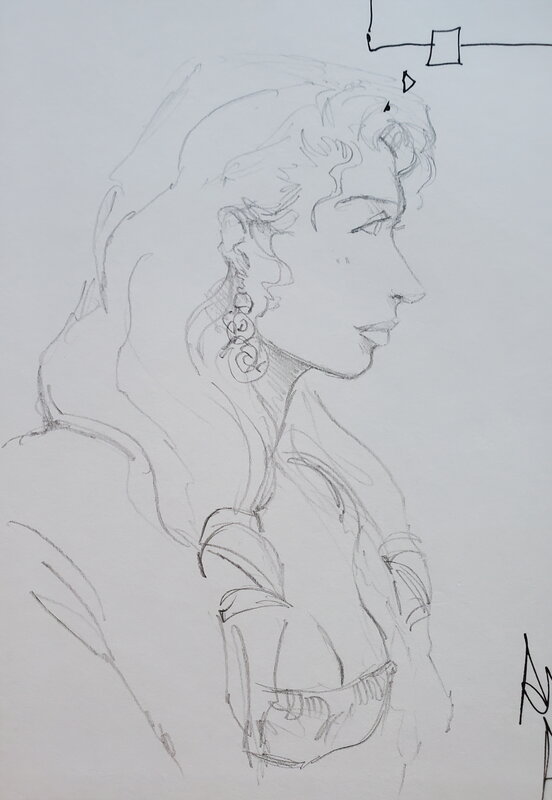 Alexis Chabert, ROGON LE LEU   T1 LE CHÂTEAU SORTILEGE - Dédicace