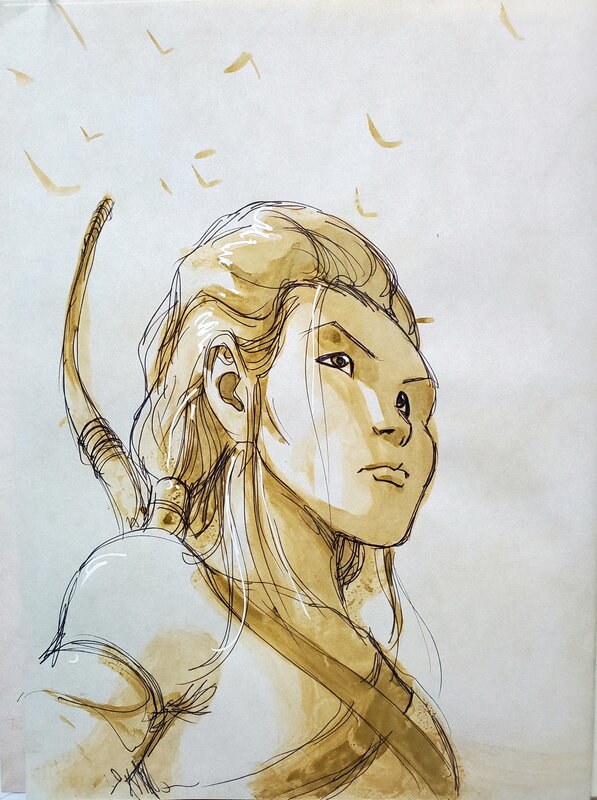 Nicolas Ryser, Olivier Legrand, LES DERNIERS ARGONAUTES   T1 LE SILENCE DES DIEUX - Sketch